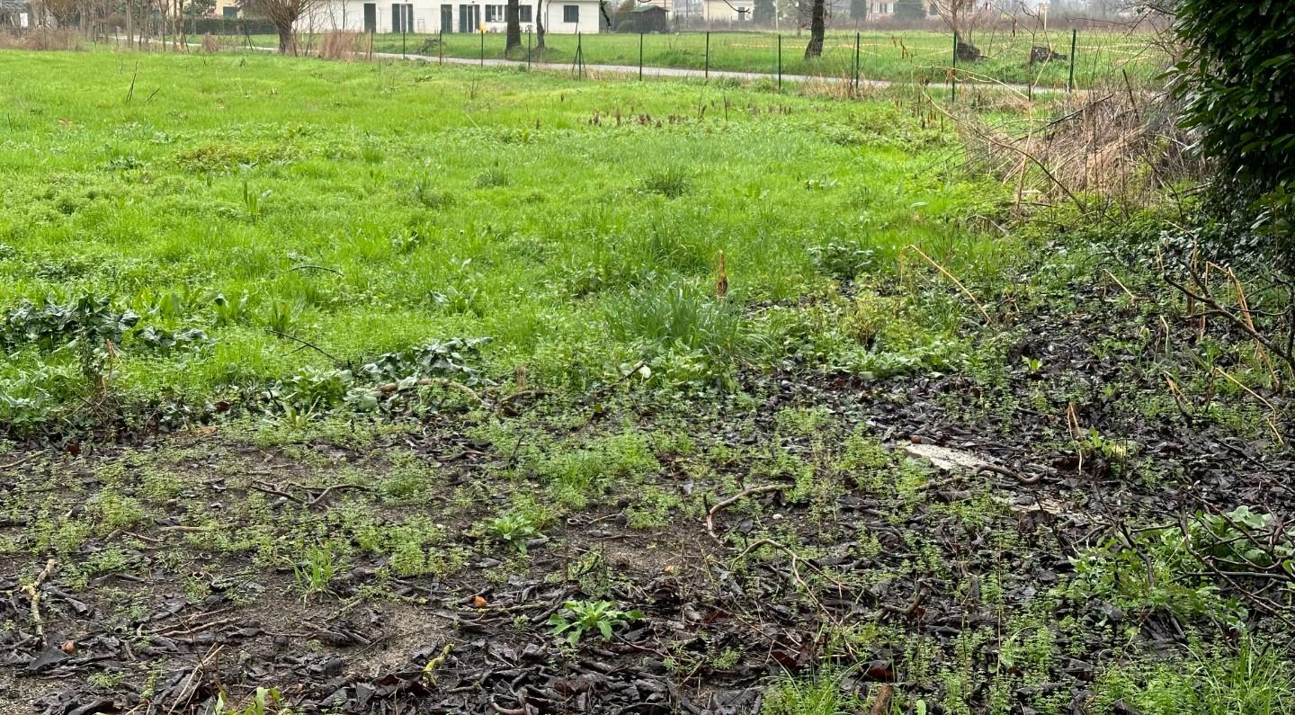 Immagine 24 di Villa in vendita  a Capannori