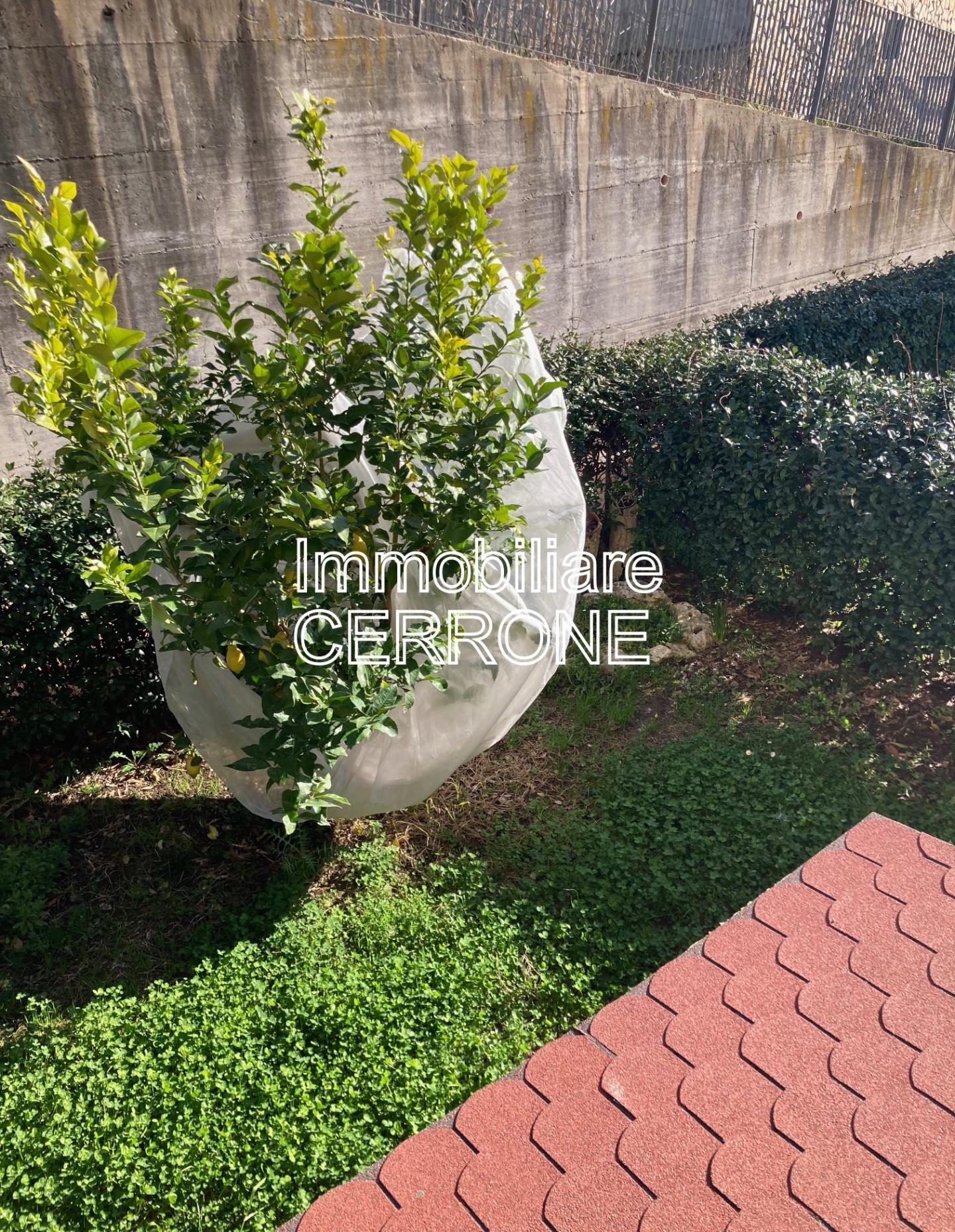 Foto annuncio 24