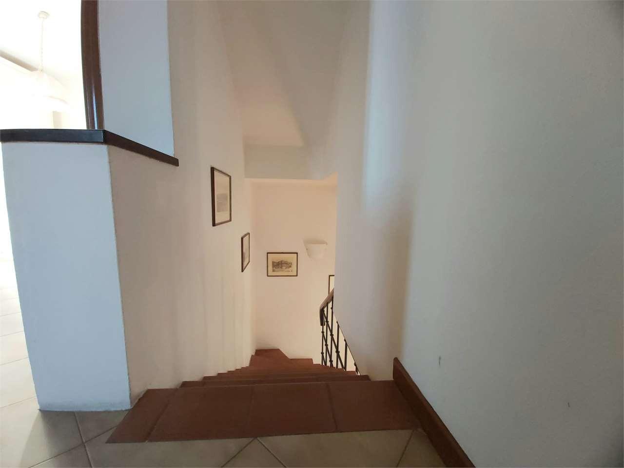Foto annuncio 36