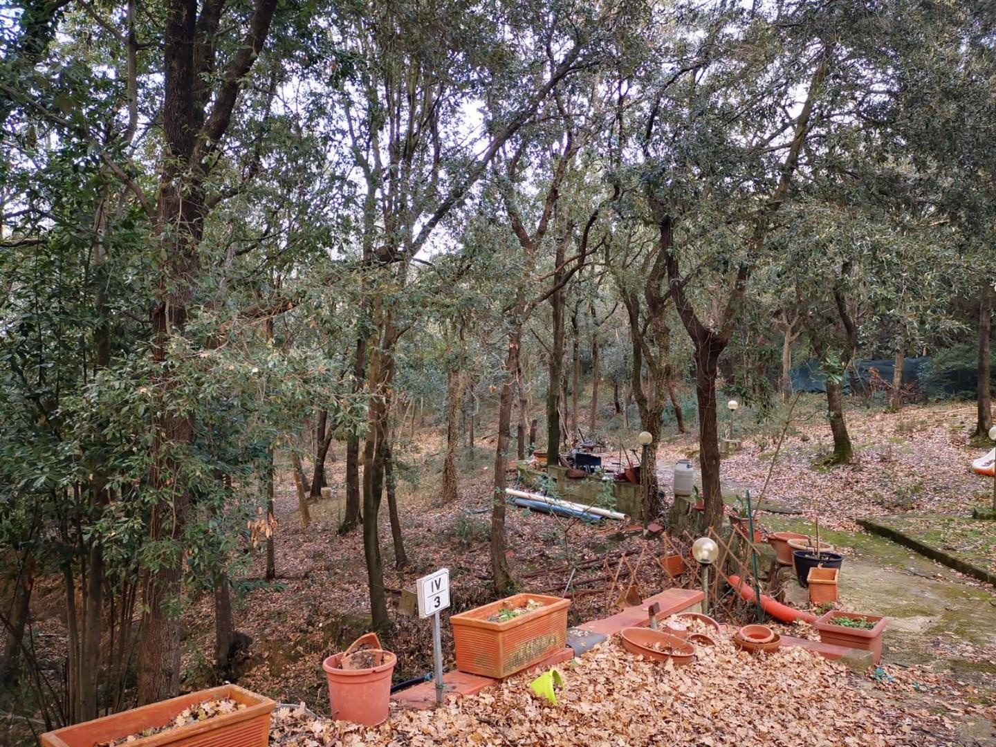 Foto annuncio 14