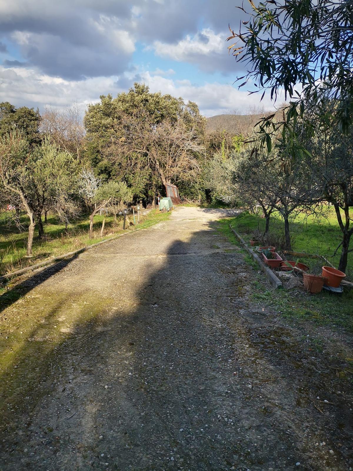 Foto annuncio 9