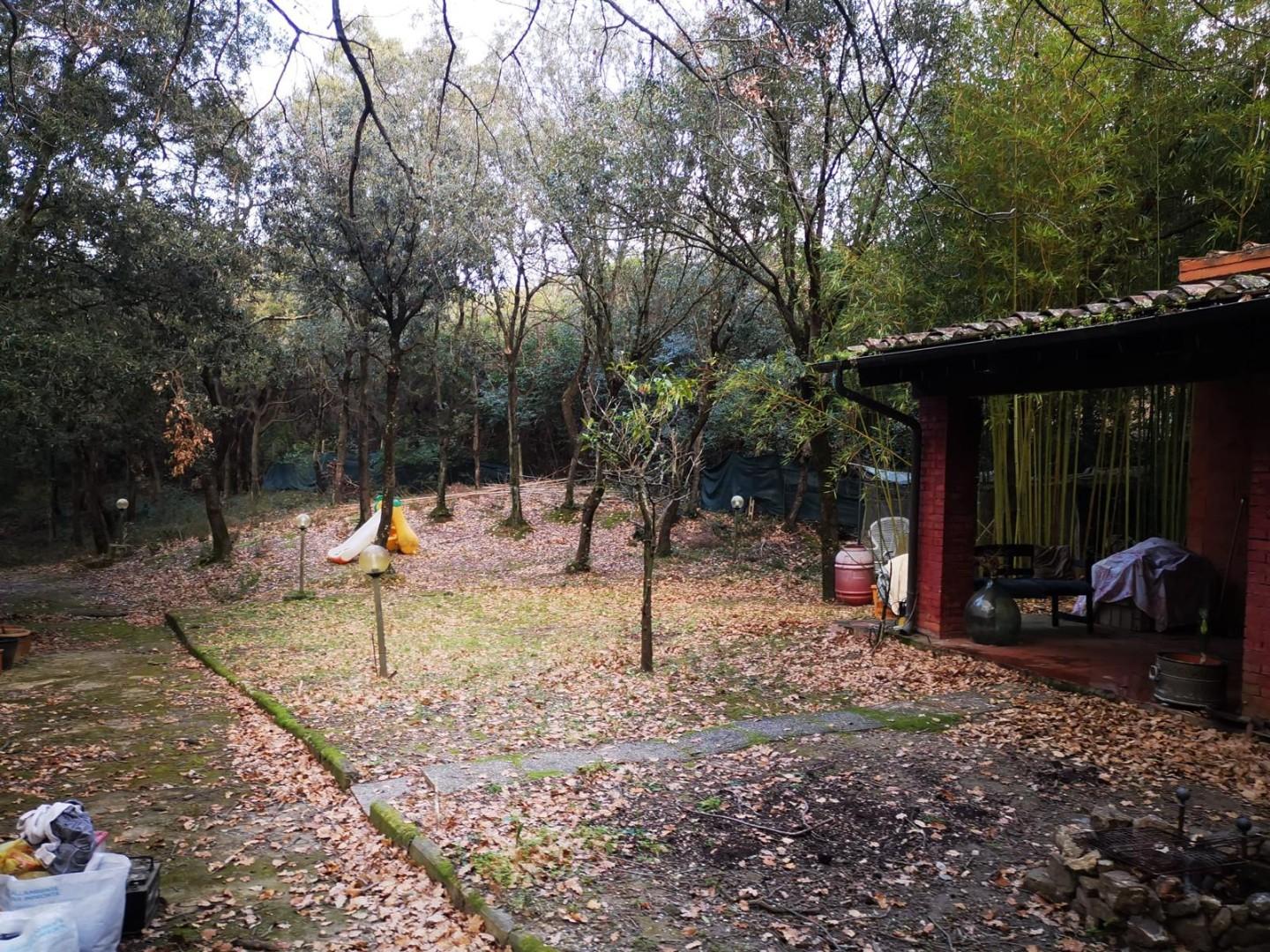Foto annuncio 13