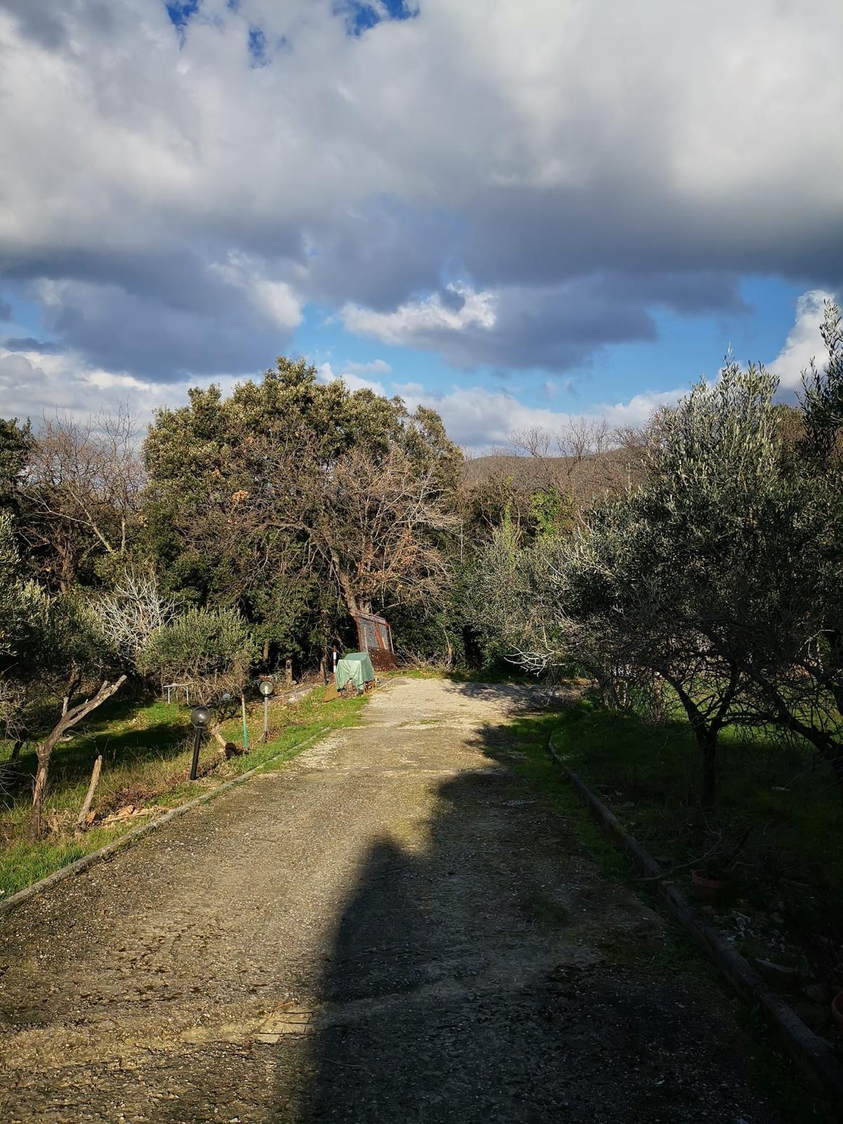 Foto annuncio 10