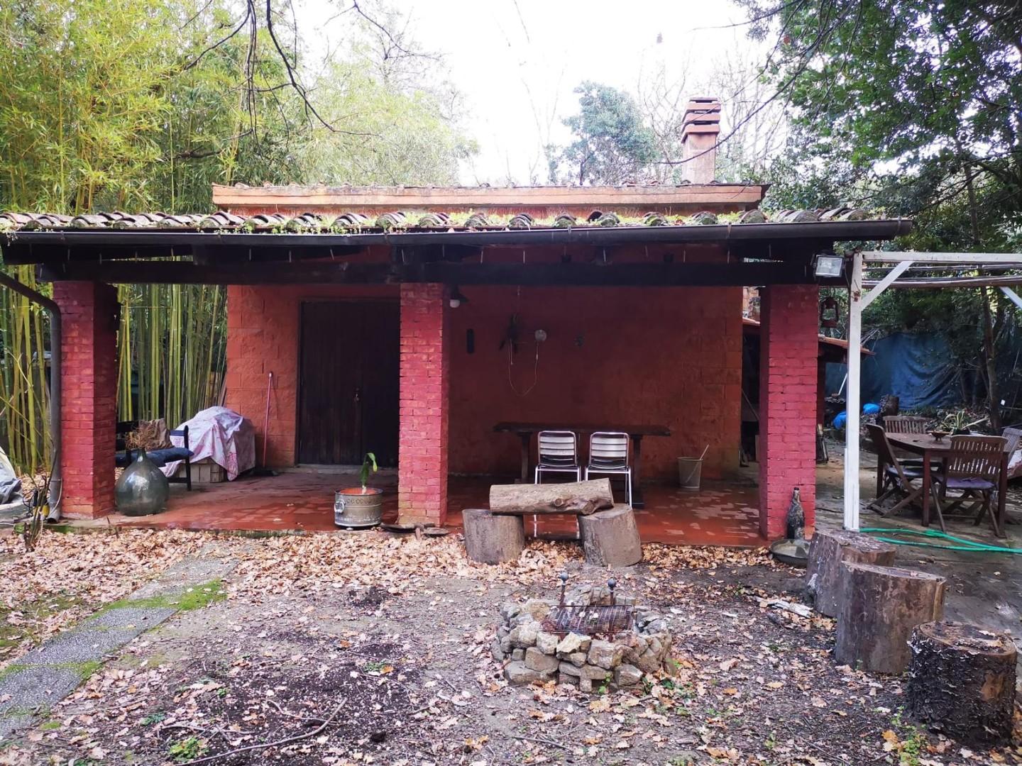 Foto annuncio 1