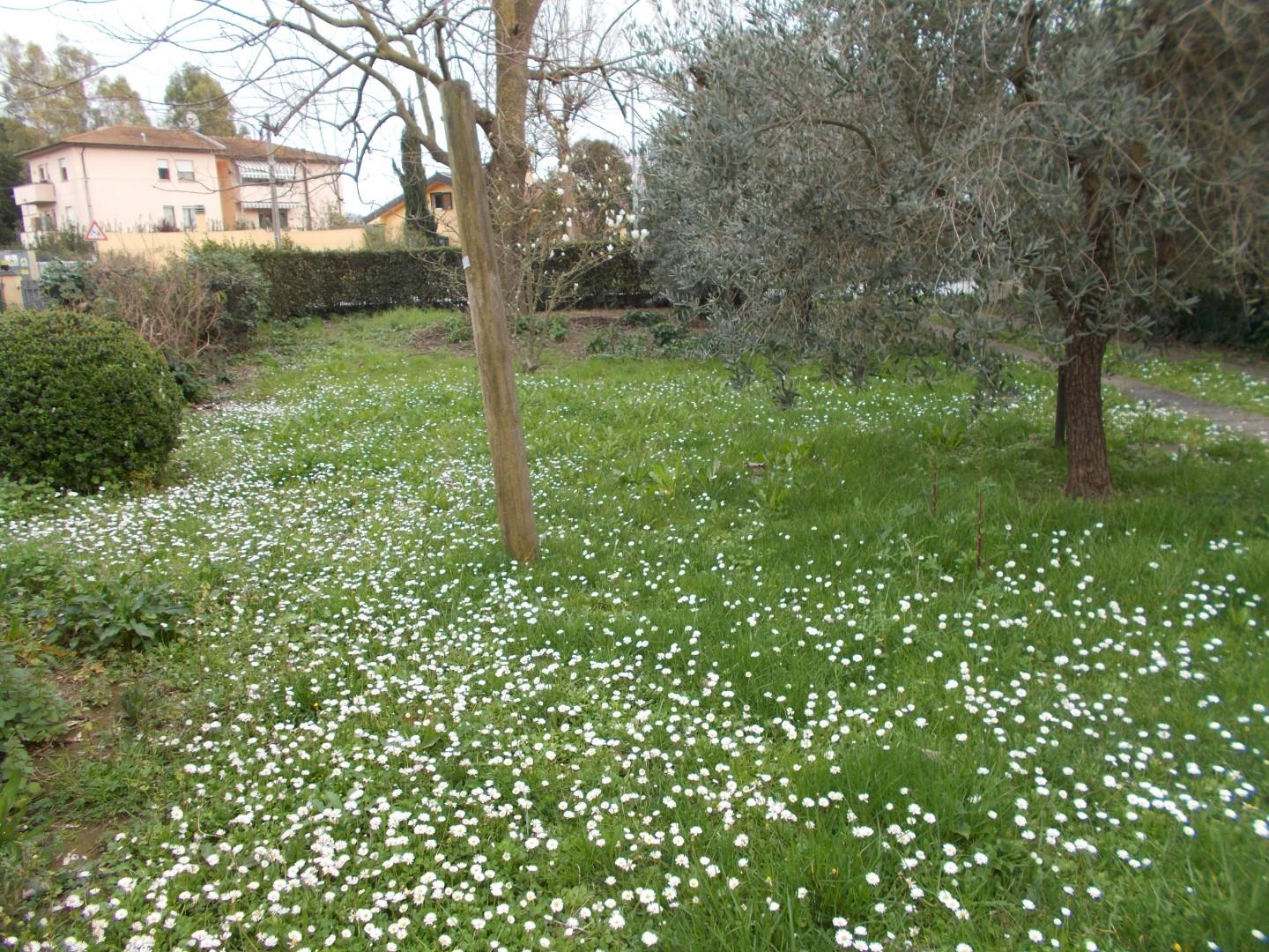 Immagine 6 di Villa in vendita  a Vecchiano