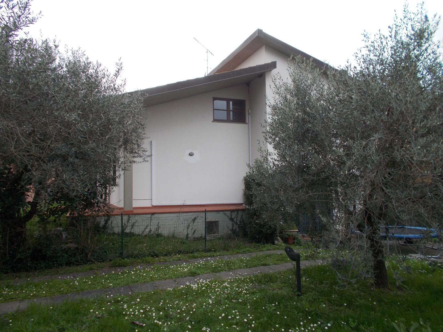 Immagine 3 di Villa in vendita  a Vecchiano