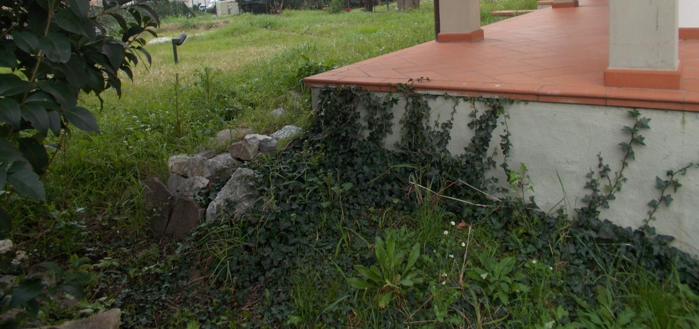 Immagine 5 di Villa in vendita  a Vecchiano