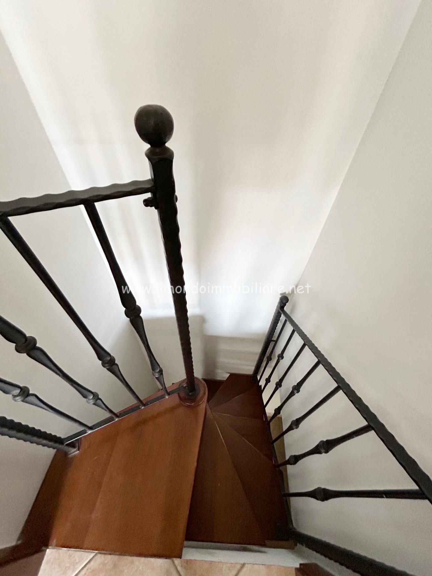 Immagine 12 di Appartamento in affitto  a Rosignano Marittimo