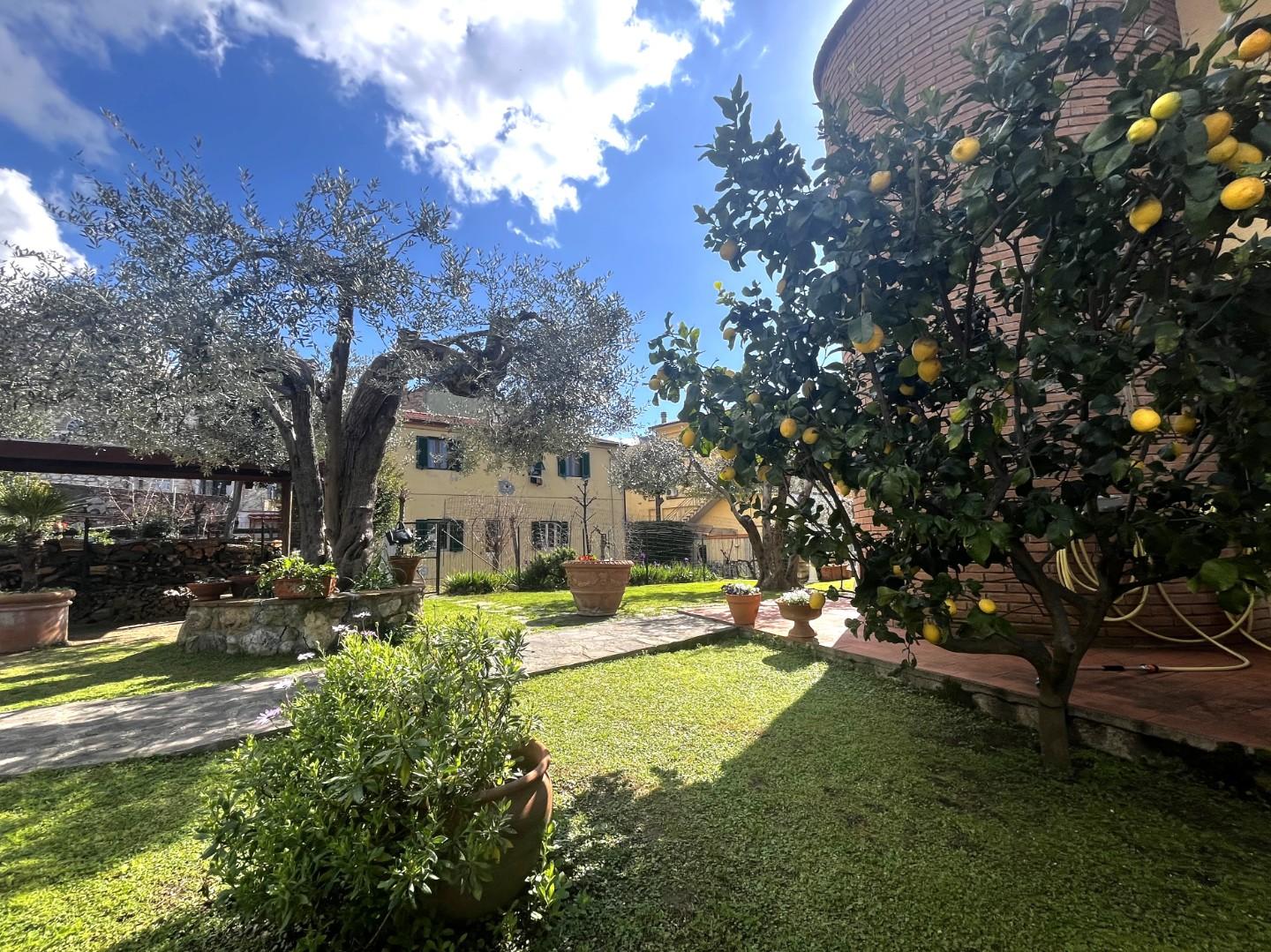 Immagine 5 di Casa bifamiliare in vendita  a Rosignano Marittimo