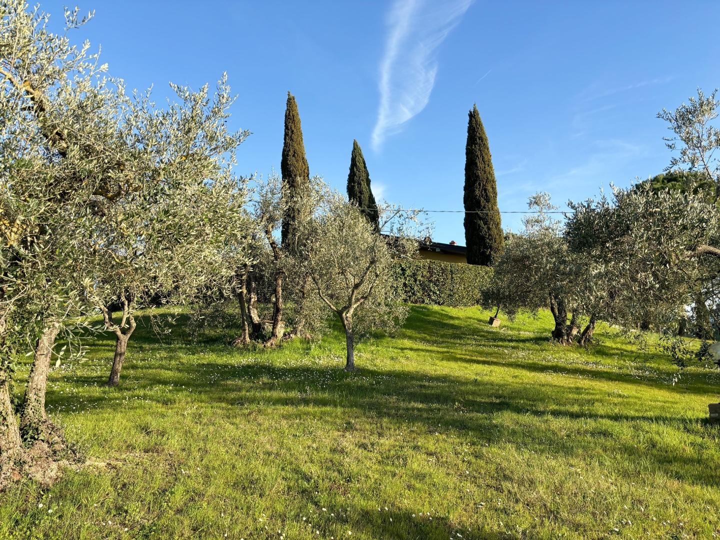 Immagine 7 di Villa in vendita  a Montespertoli