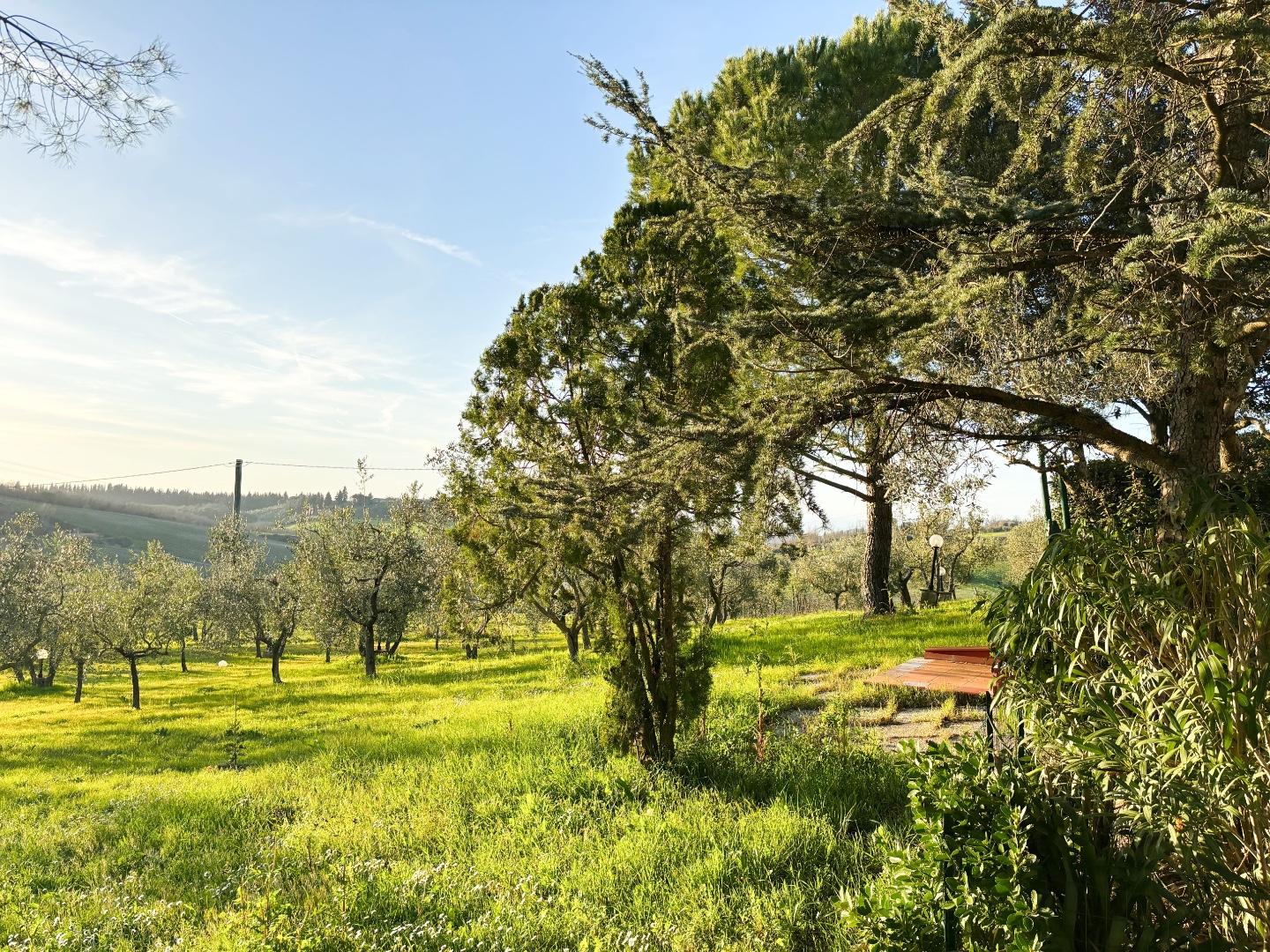 Immagine 12 di Villa in vendita  a Montespertoli