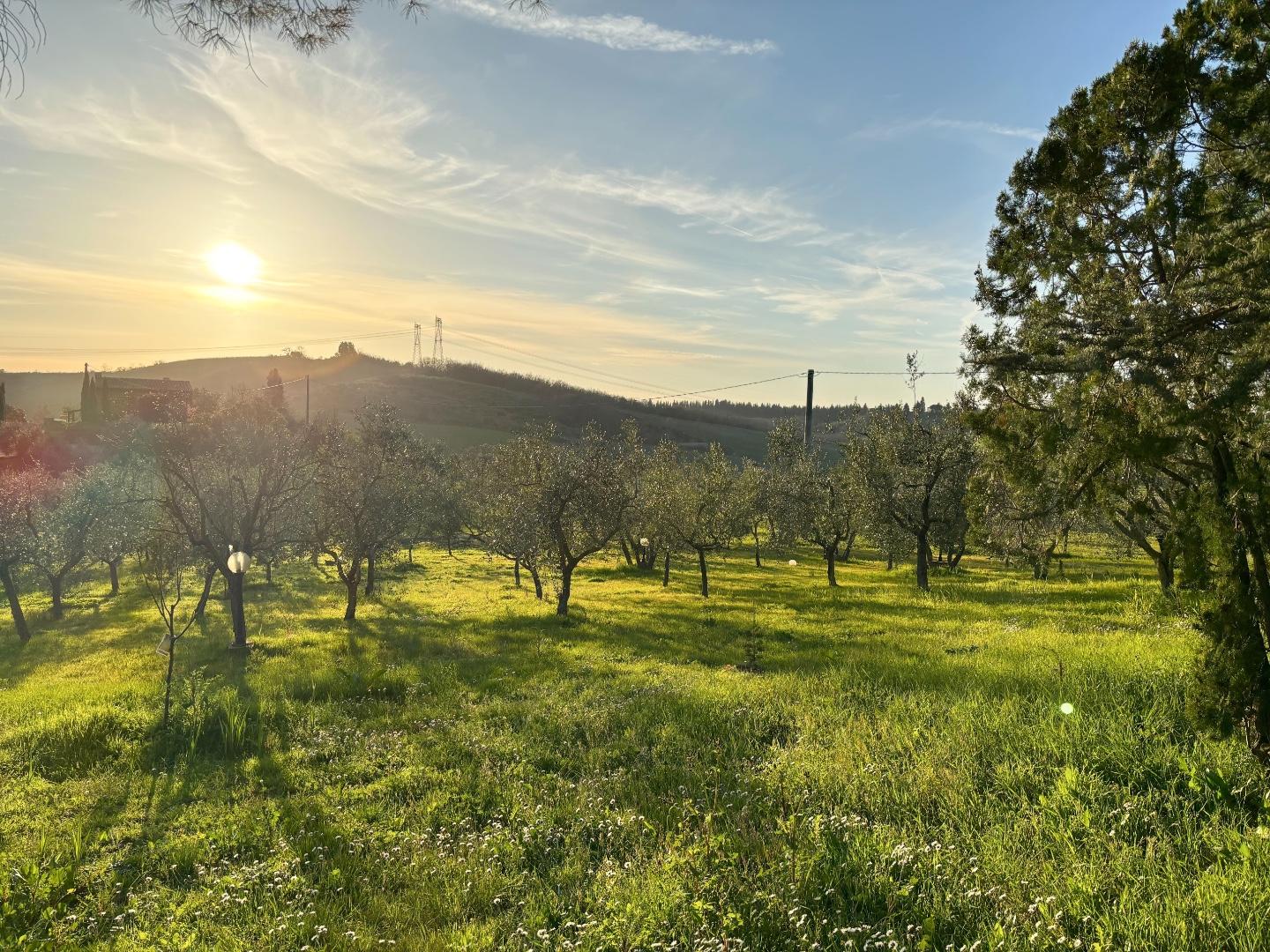 Immagine 5 di Villa in vendita  a Montespertoli
