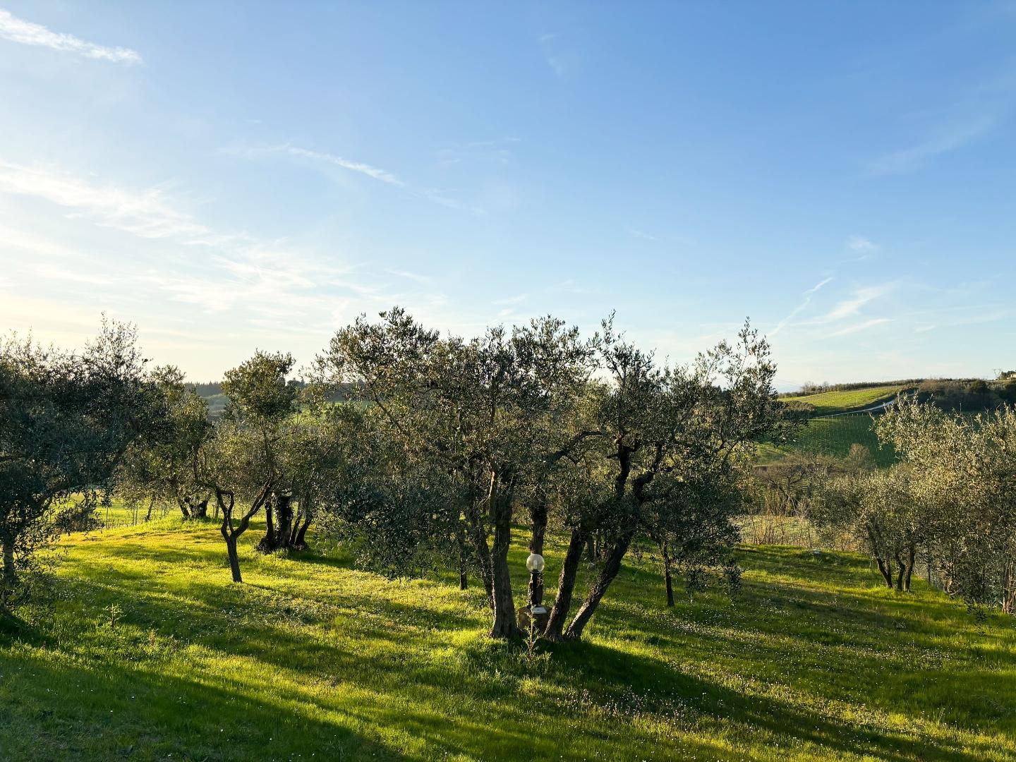 Immagine 31 di Villa in vendita  a Montespertoli