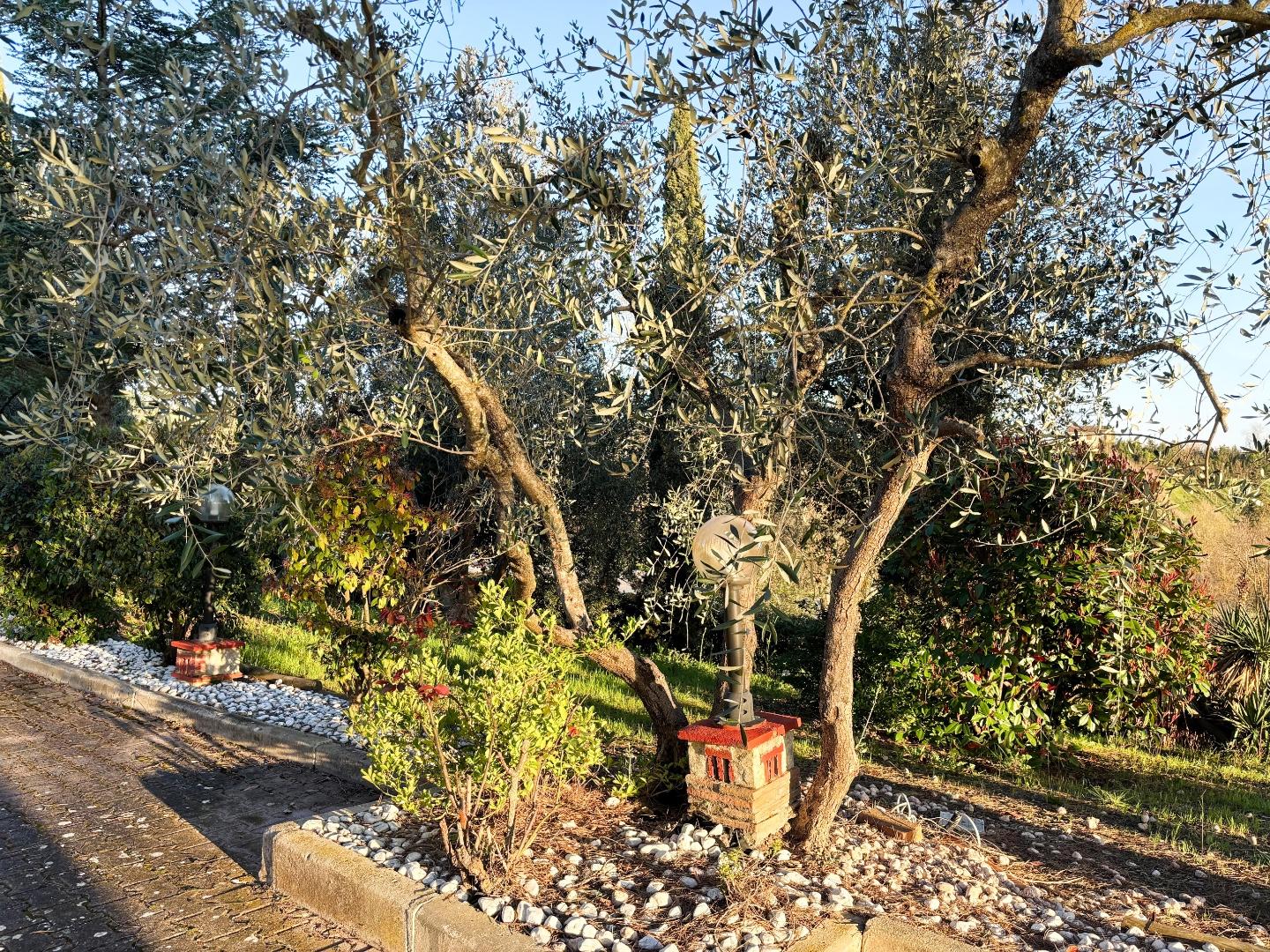 Immagine 22 di Villa in vendita  a Montespertoli