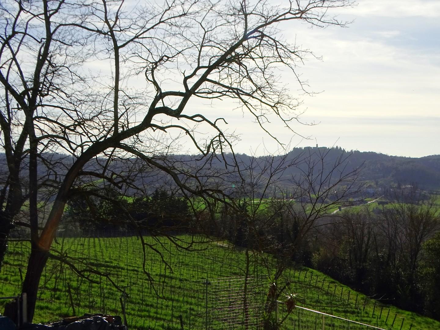 Immagine 27 di Villa in vendita  a San Miniato