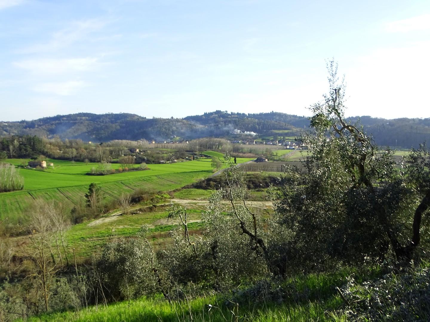 Immagine 85 di Villa in vendita  a San Miniato