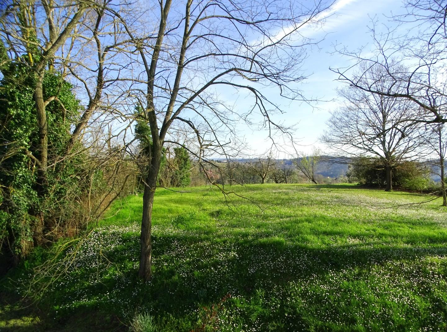 Immagine 60 di Villa in vendita  a San Miniato