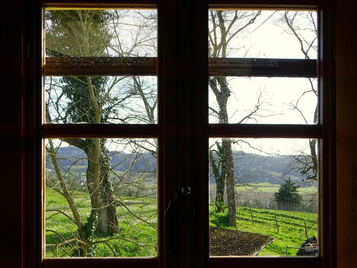 Immagine 58 di Villa in vendita  a San Miniato