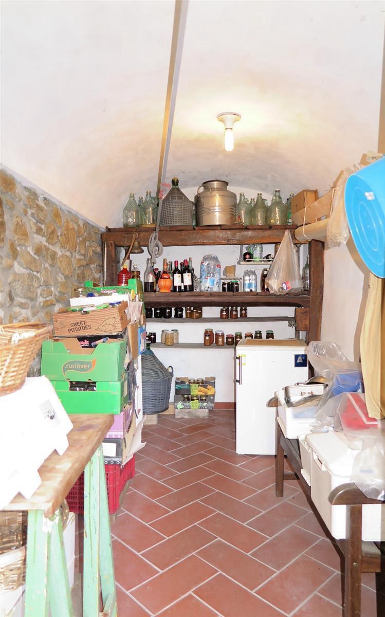 Immagine 60 di Casa colonica in vendita  a Tresana