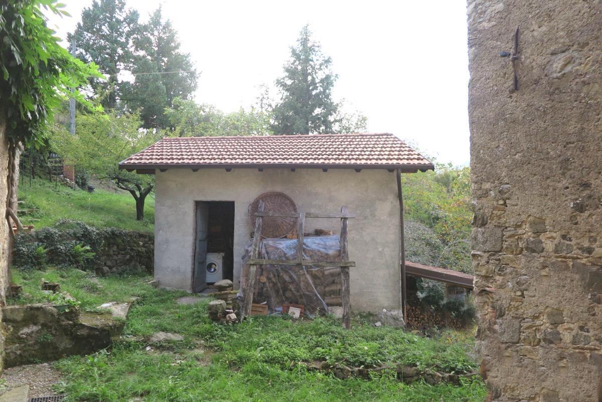 Immagine 61 di Casa colonica in vendita  a Tresana