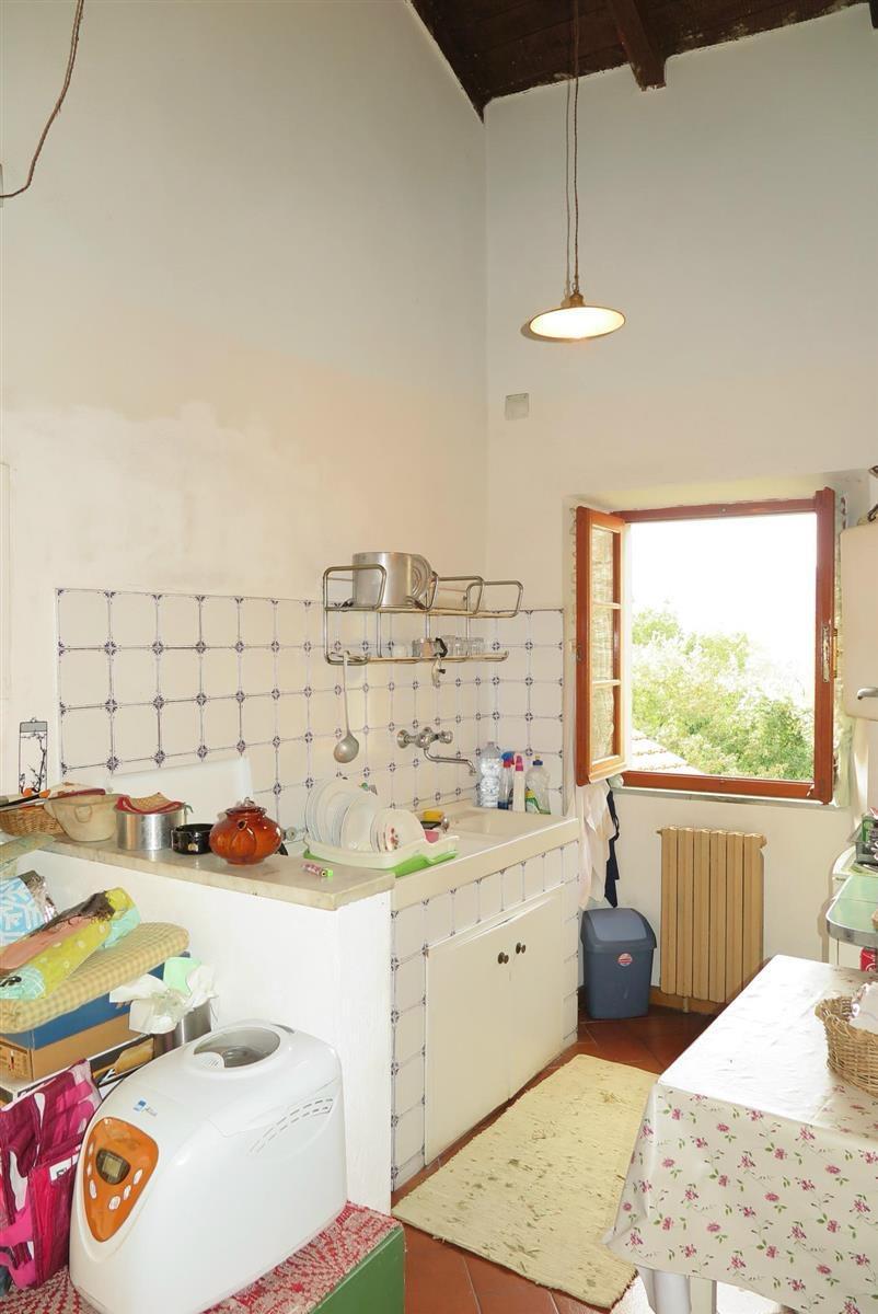 Immagine 46 di Casa colonica in vendita  a Tresana