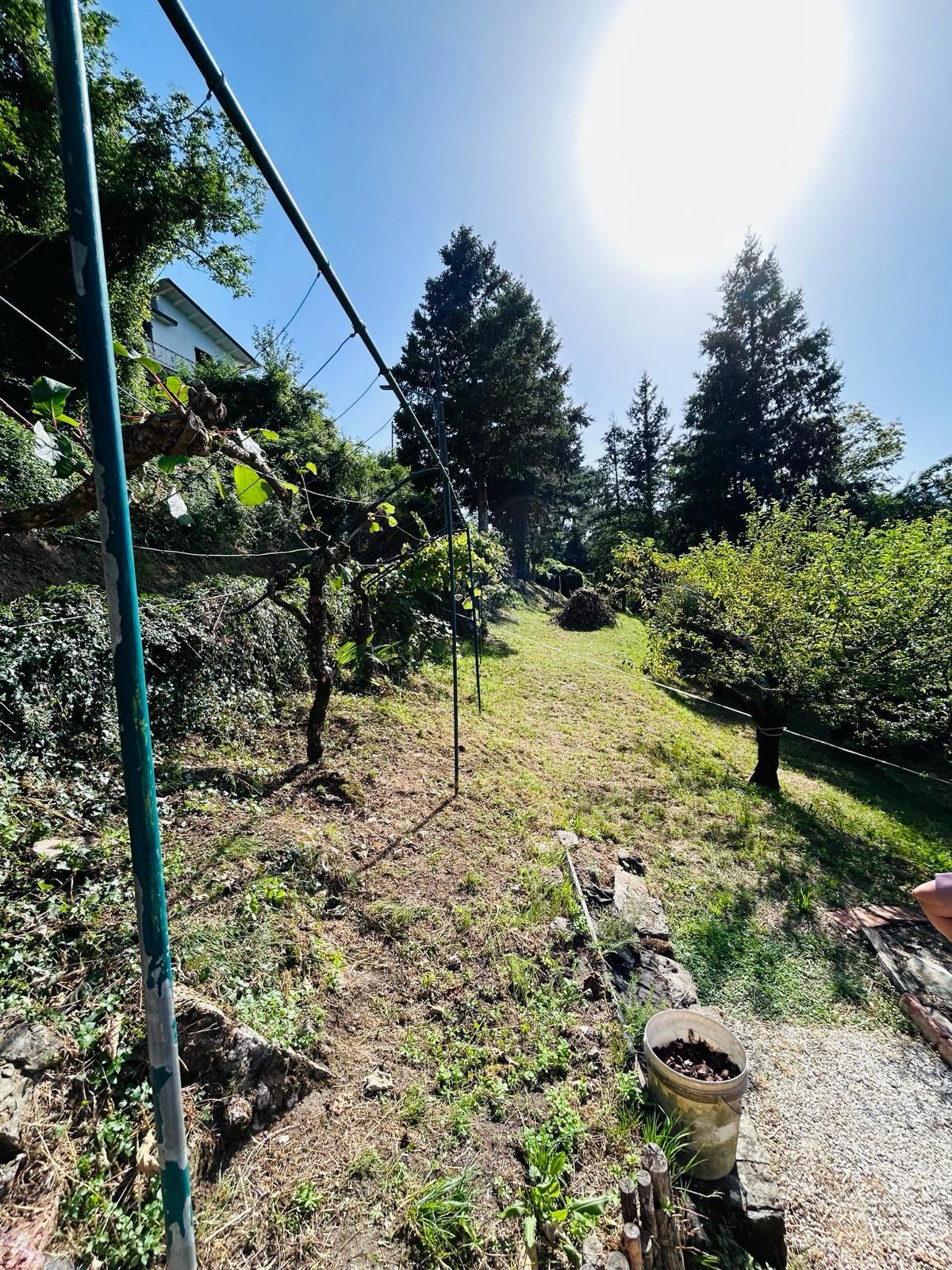 Immagine 11 di Casa colonica in vendita  a Tresana