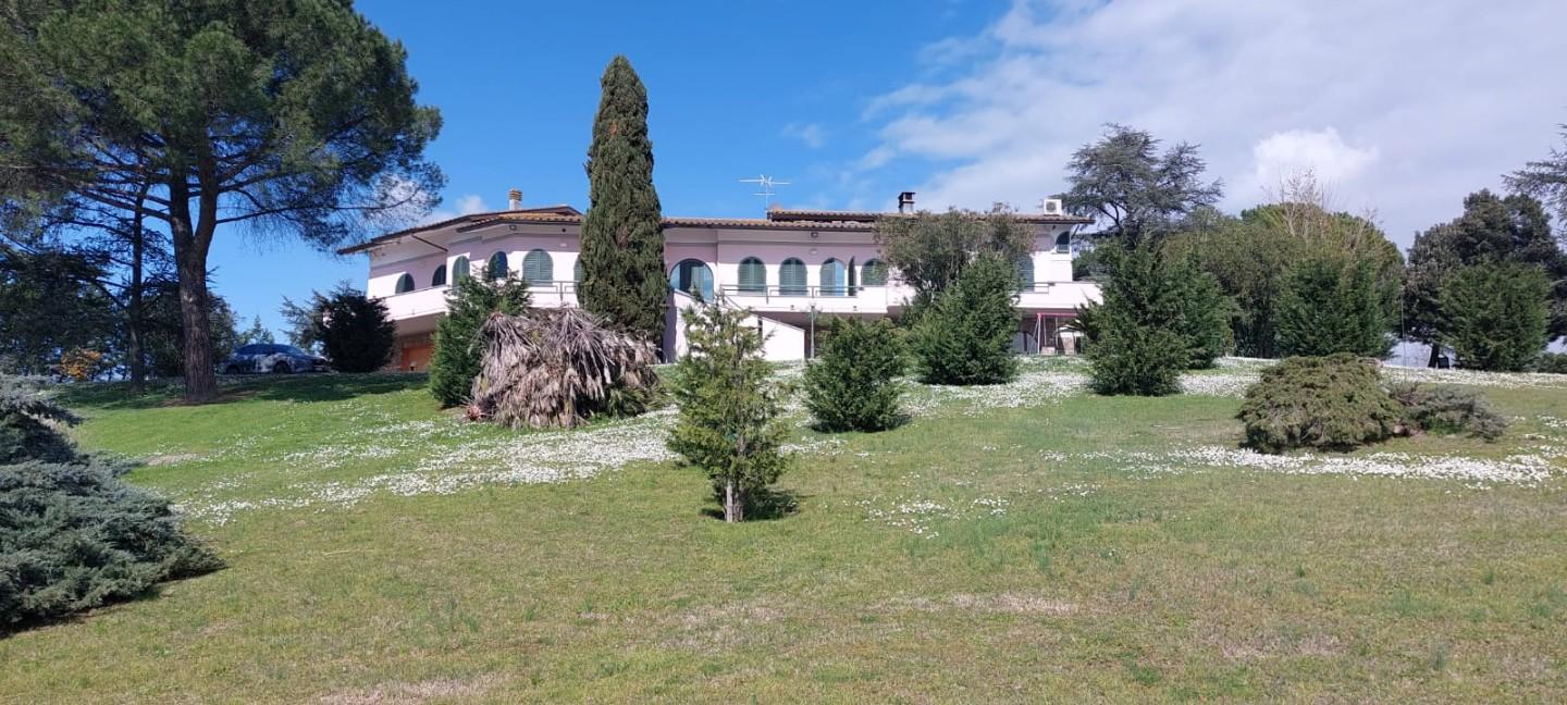 Immagine 6 di Villa in vendita  a Cerreto Guidi
