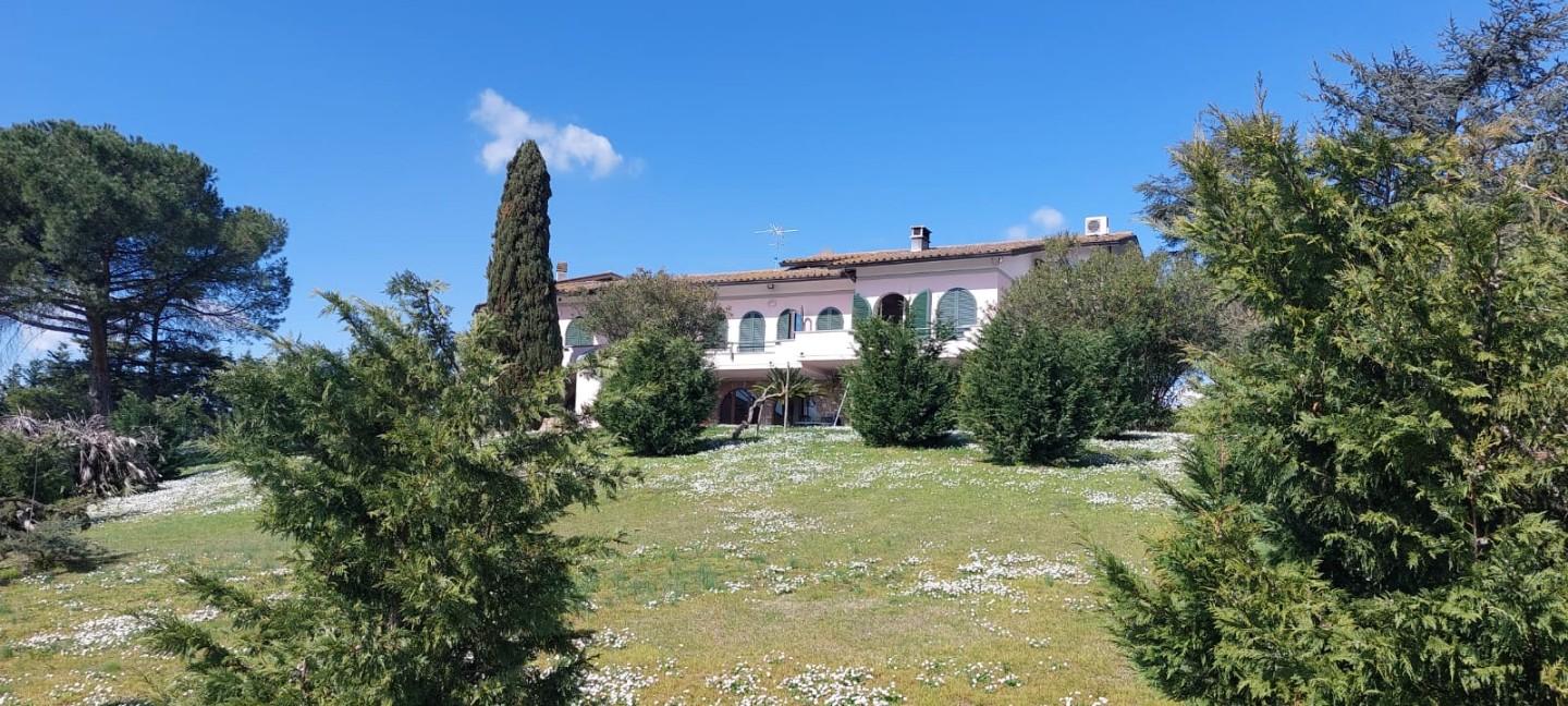 Immagine 8 di Villa in vendita  a Cerreto Guidi