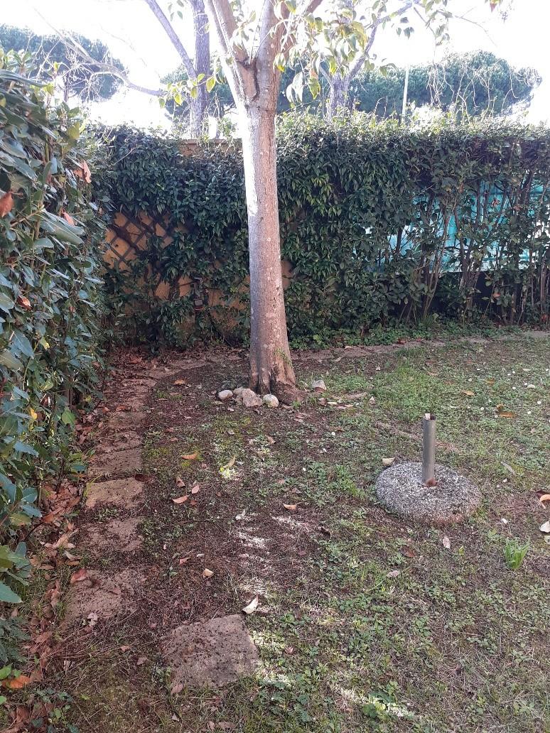 Immagine 7 di Appartamento in vendita  a Massa