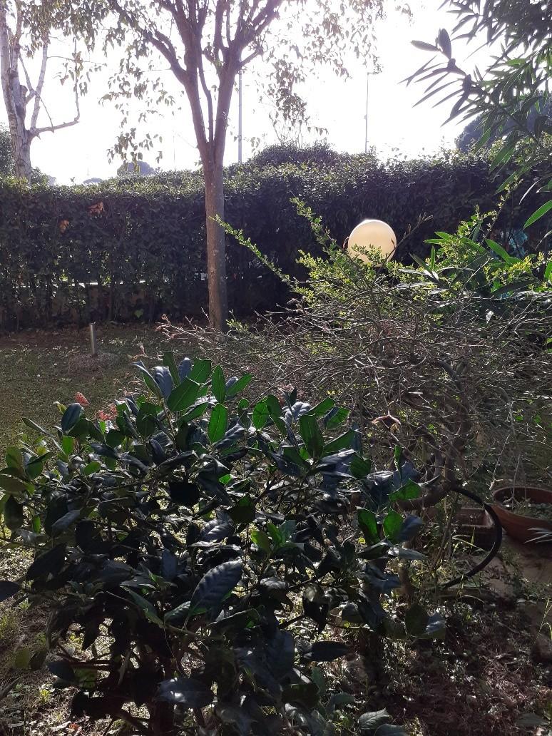 Immagine 4 di Appartamento in vendita  a Massa