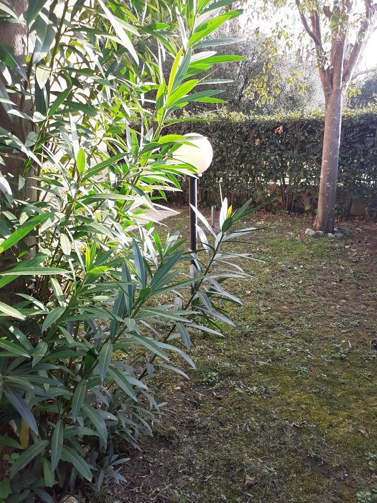 Immagine 2 di Appartamento in vendita  a Massa