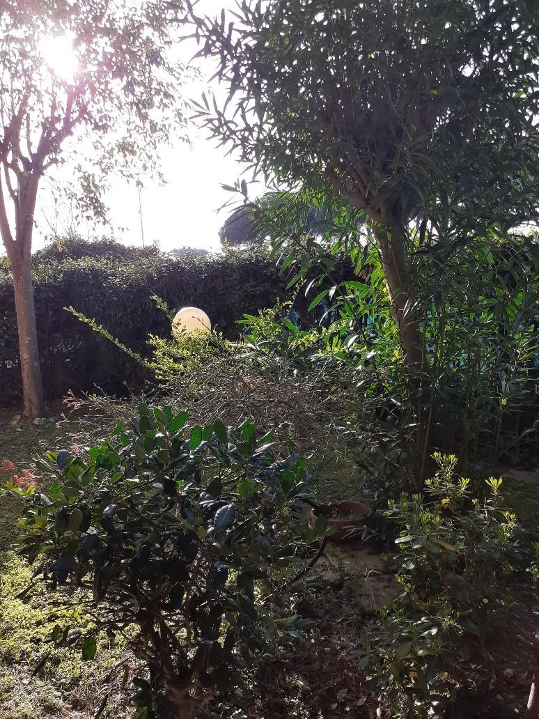 Immagine 19 di Appartamento in vendita  a Massa