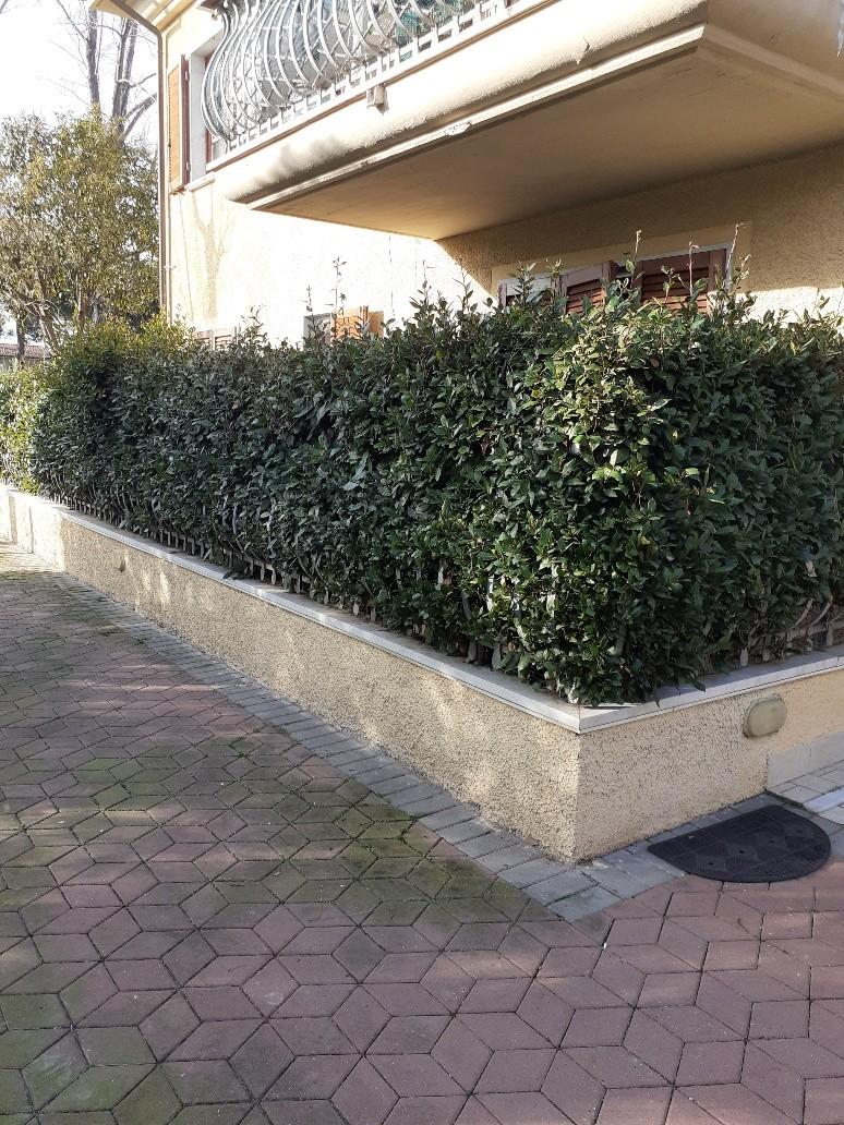 Immagine 22 di Appartamento in vendita  a Massa