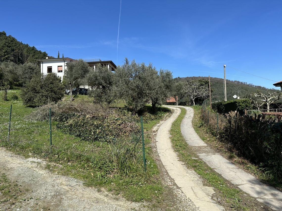Foto annuncio 11