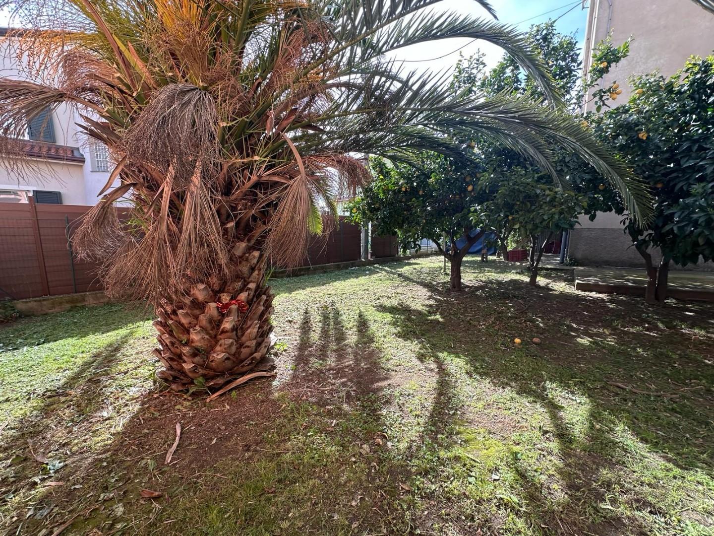 Immagine 3 di Appartamento in vendita  a Sarzana