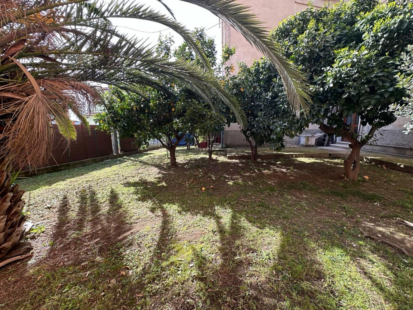 Immagine 2 di Appartamento in vendita  a Sarzana