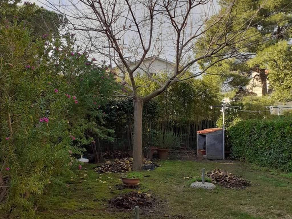 Immagine 3 di Villetta a schiera in vendita  a Rosignano Marittimo