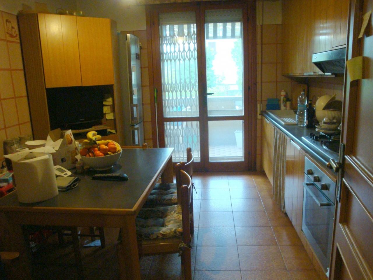 Immagine 7 di Villetta a schiera in vendita  a Rosignano Marittimo