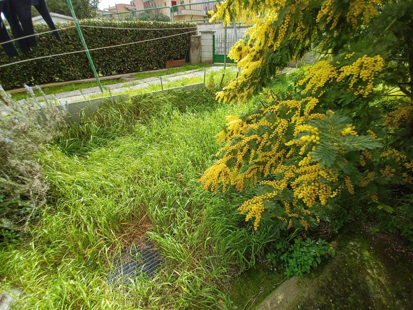 Foto annuncio 23