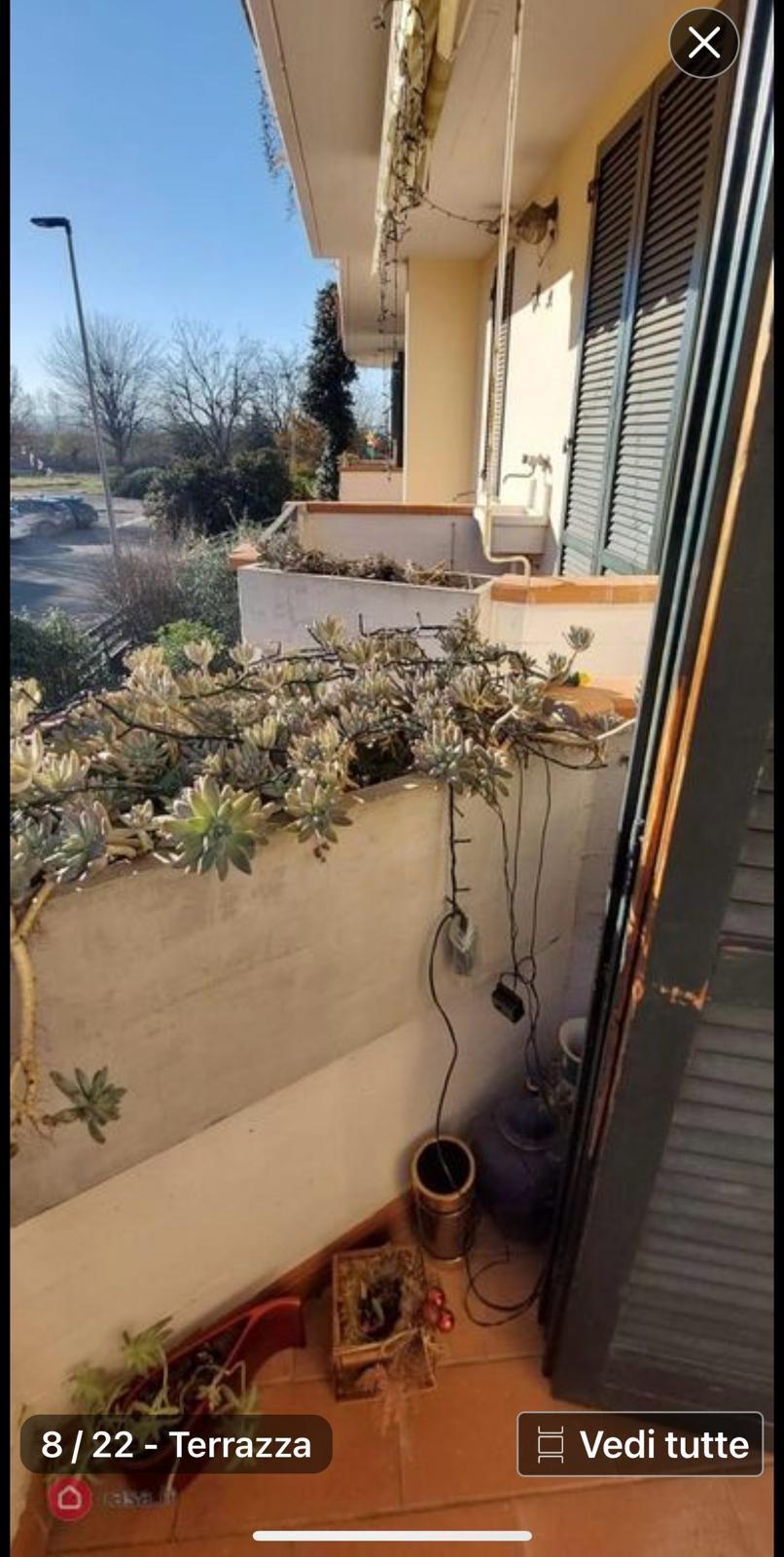 Immagine 9 di Terratetto in vendita  a Capraia E Limite