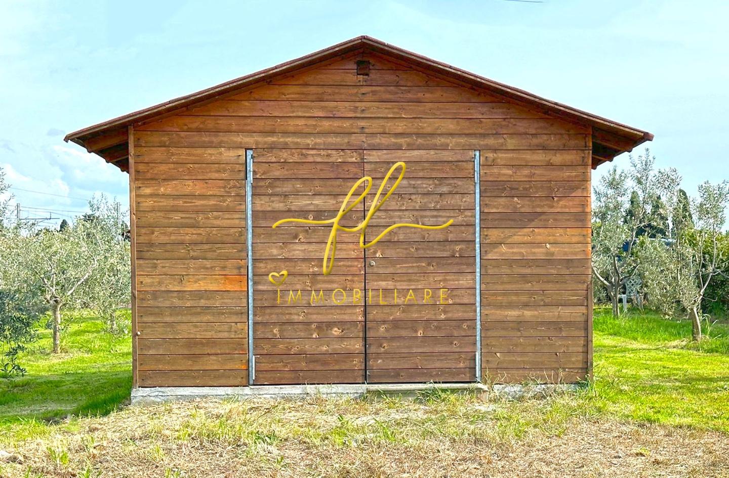 Immagine 5 di Terreno agricolo in vendita  a Cecina