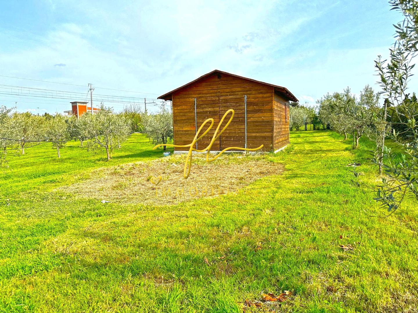 Immagine 4 di Terreno agricolo in vendita  a Cecina
