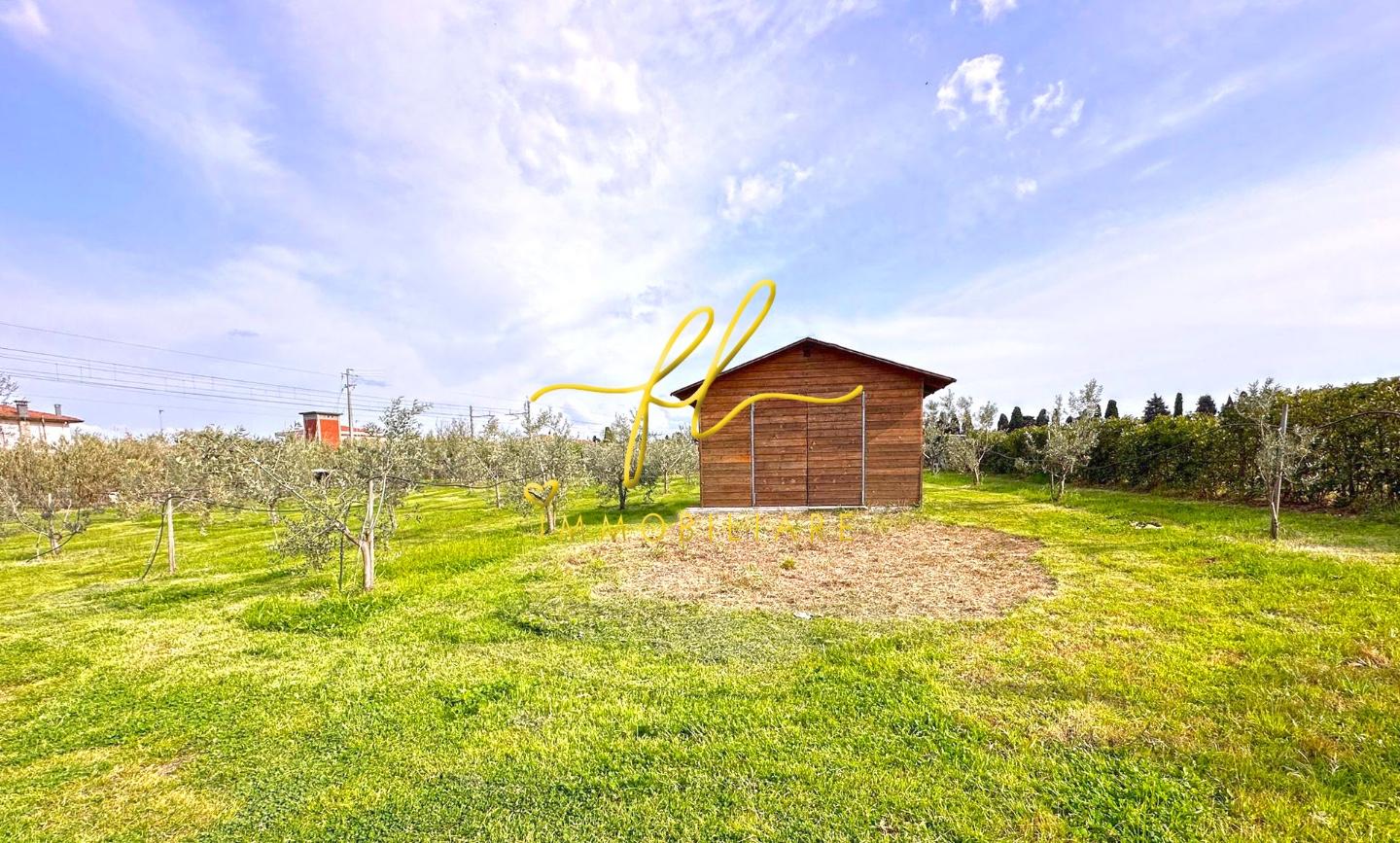 Immagine 1 di Terreno agricolo in vendita  a Cecina
