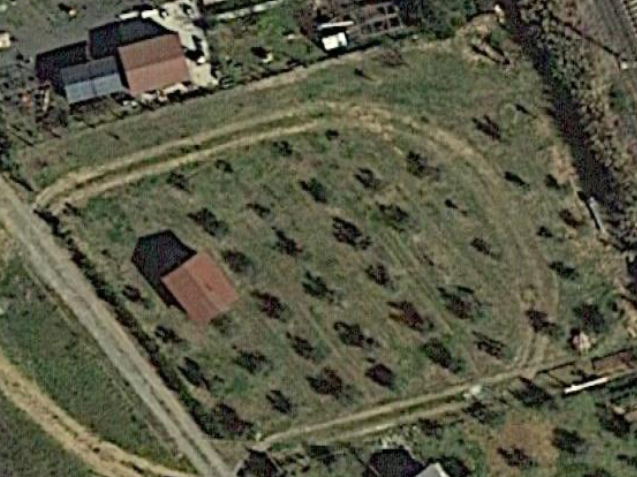 Immagine 9 di Terreno agricolo in vendita  a Cecina