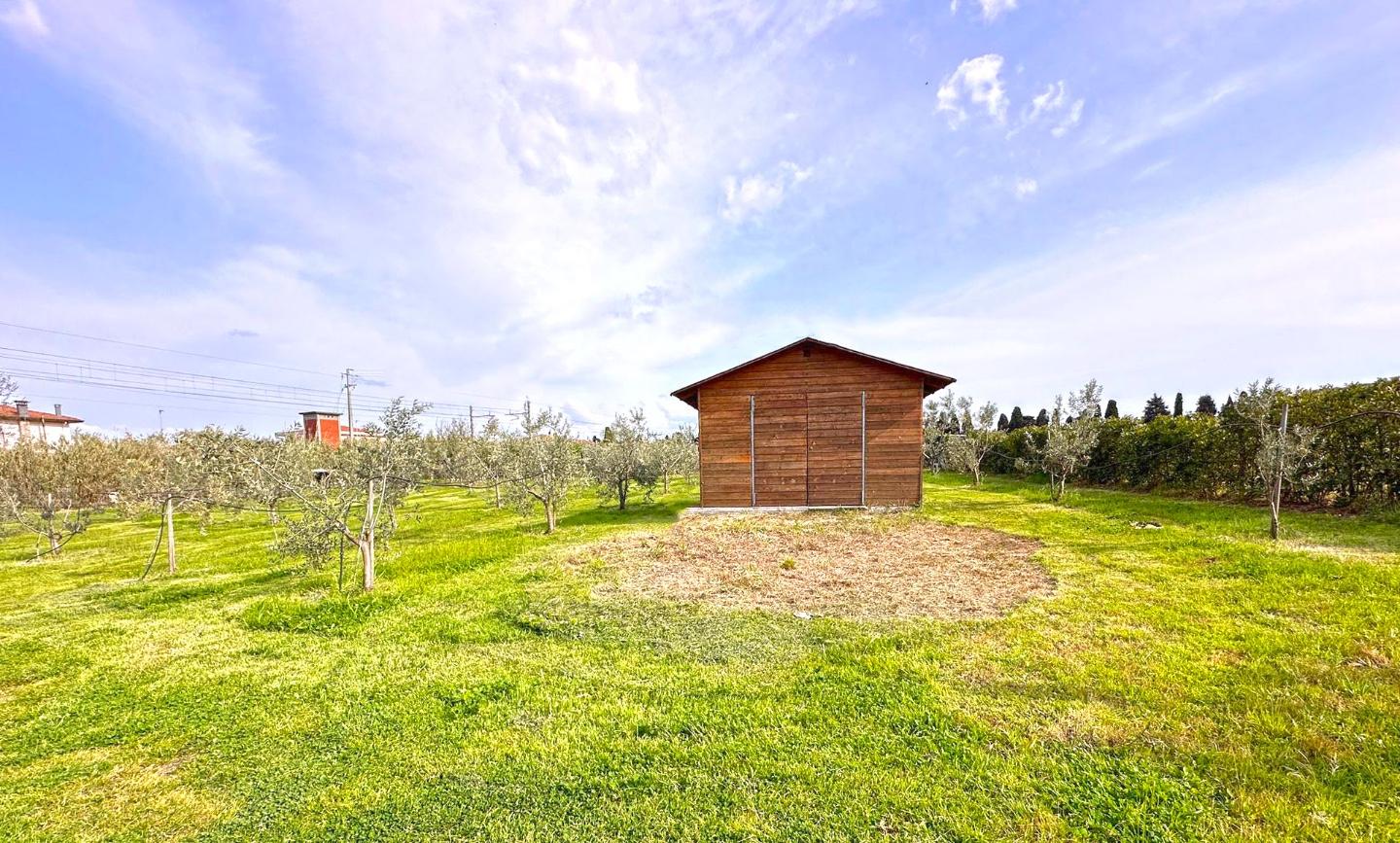 Immagine 10 di Terreno agricolo in vendita  a Cecina