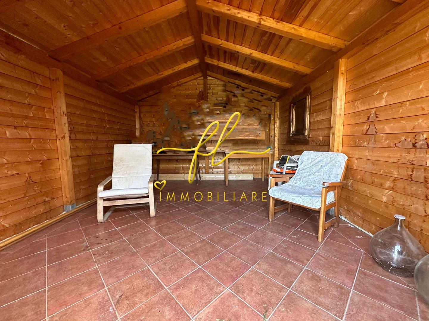 Immagine 2 di Terreno agricolo in vendita  a Cecina