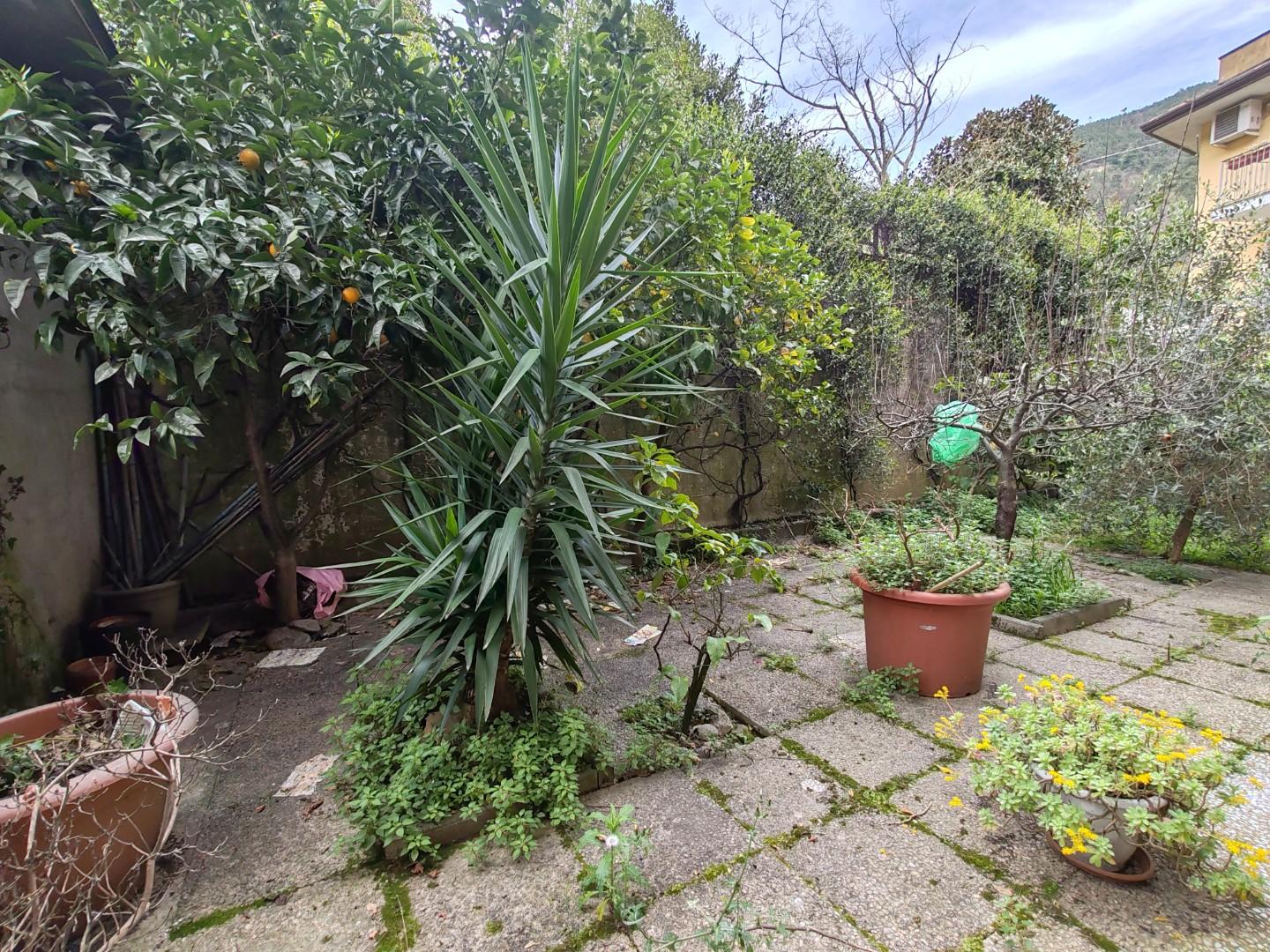 Immagine 4 di Appartamento in vendita  a Montignoso