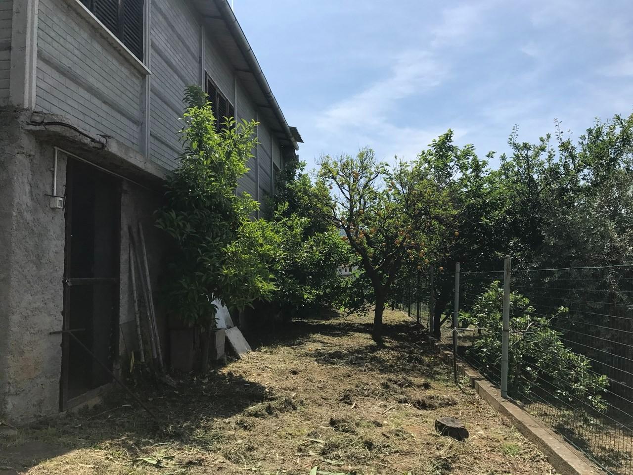 Foto annuncio 10