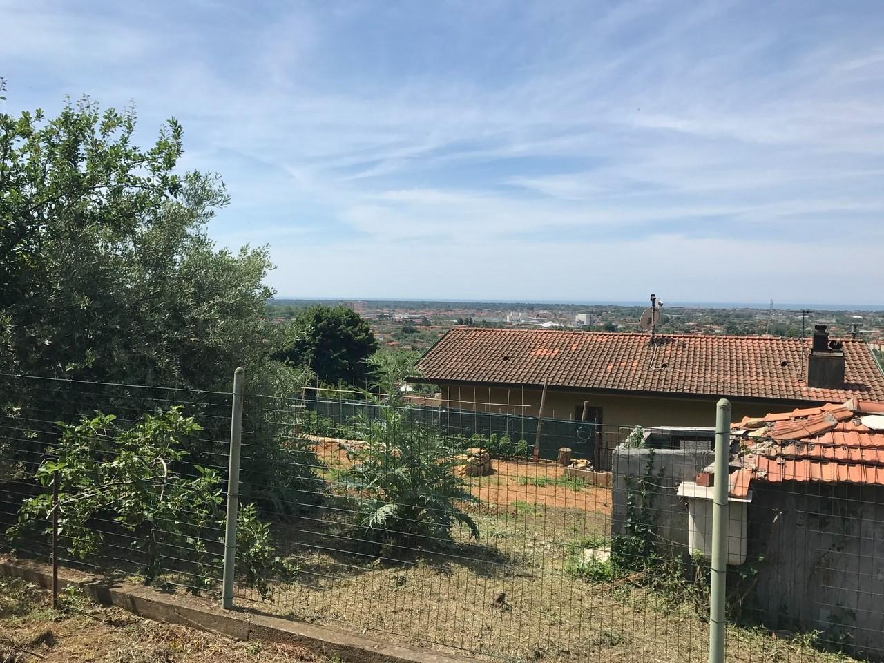 Foto annuncio 14