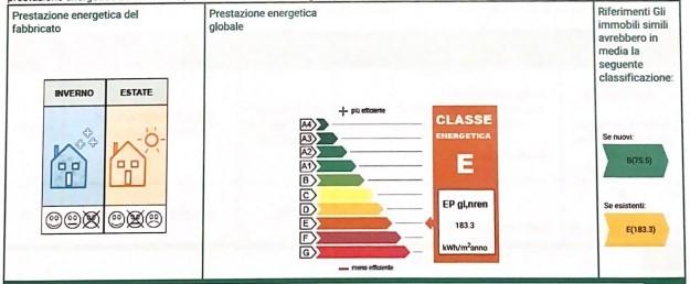 Foto annuncio 24